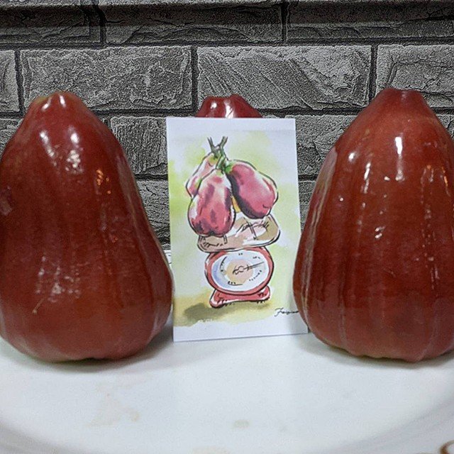紅寶石蓮霧~ 有機 果肉豐厚、清脆多汁