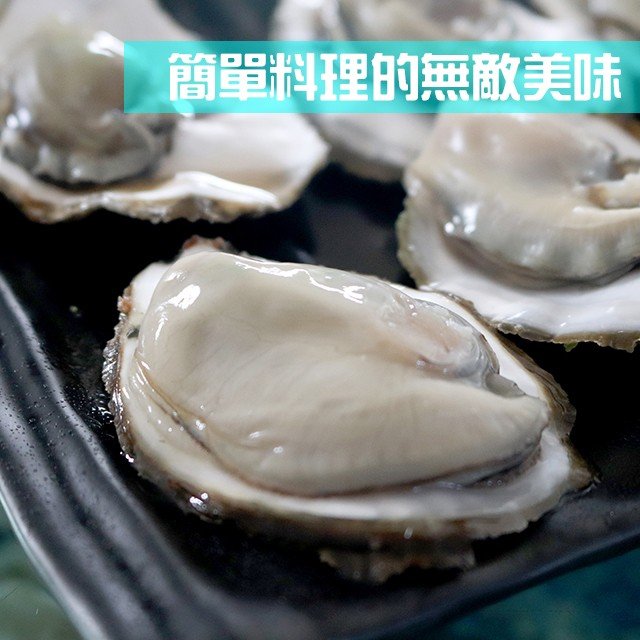 頂級生蠔禮盒~比牡蠣大一倍的台灣生蠔