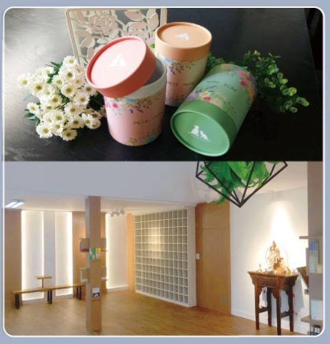 森林館 - 第1、2、10、11層