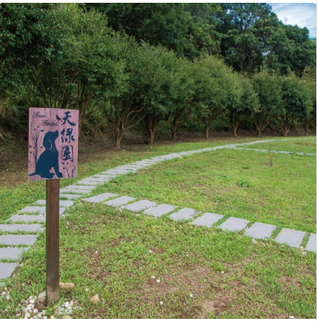 天綠園樹葬套組